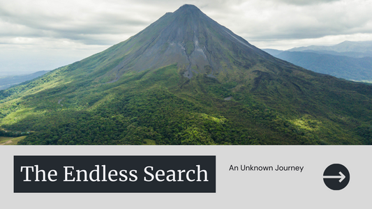 The Endless Search: A Journey Within