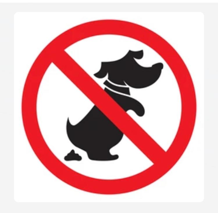 Anti Poop Spray 120 ml