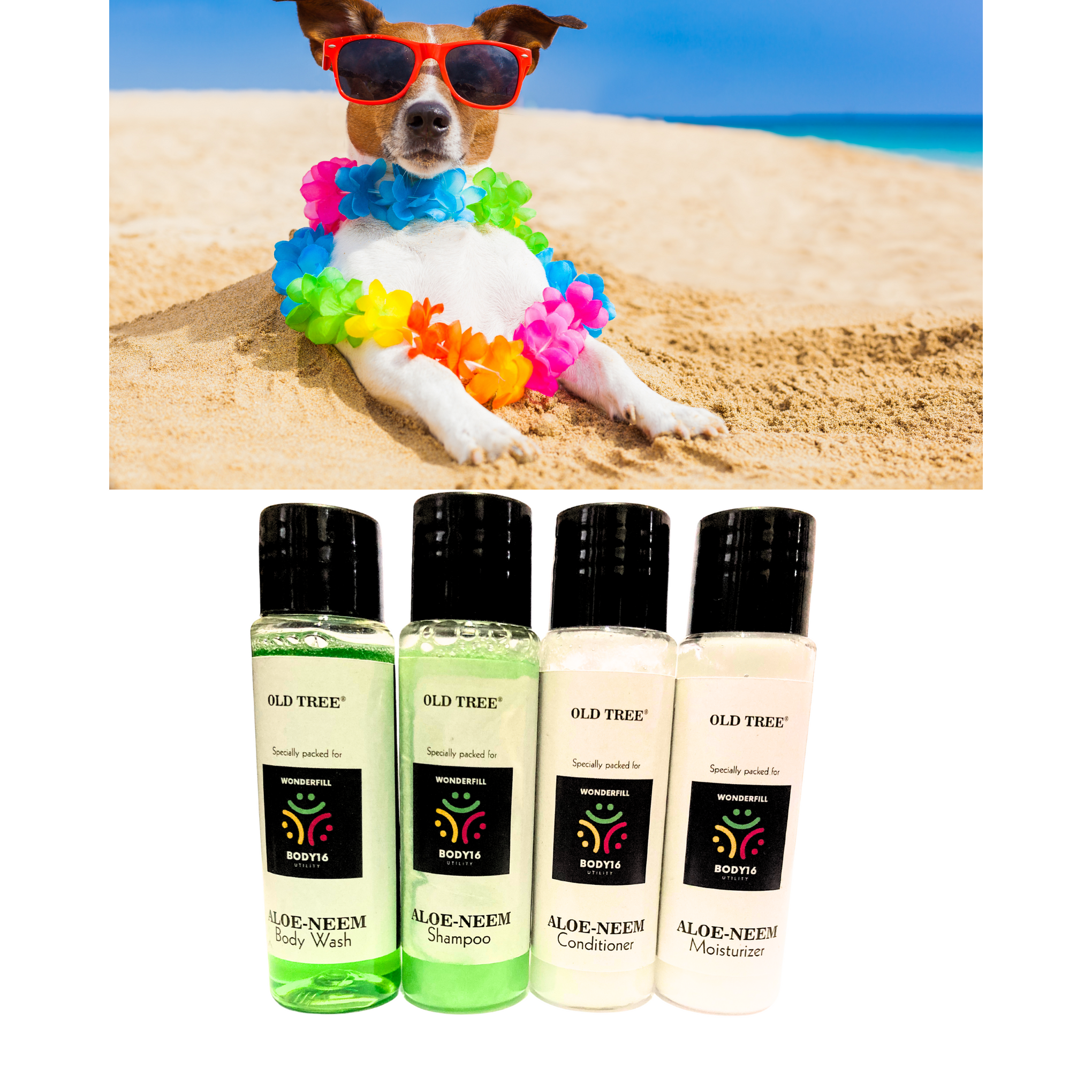 Pet Spa Kit- Body Wash, Shampoo, Conditioner, Moisturiser (30X4=120ml)